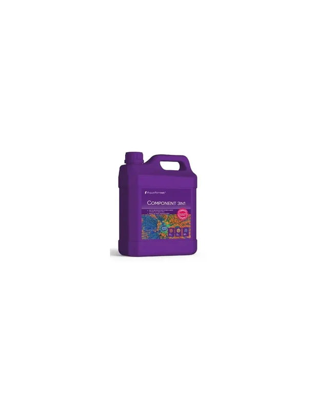 bellacoral842022