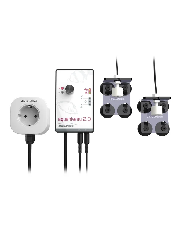 bellacoral842049