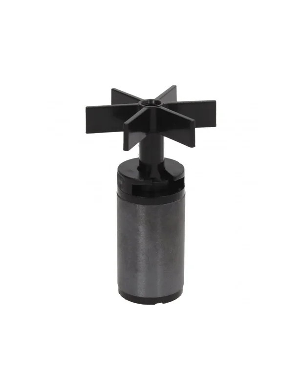 bellacoral842145