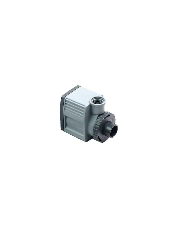 bellacoral843072