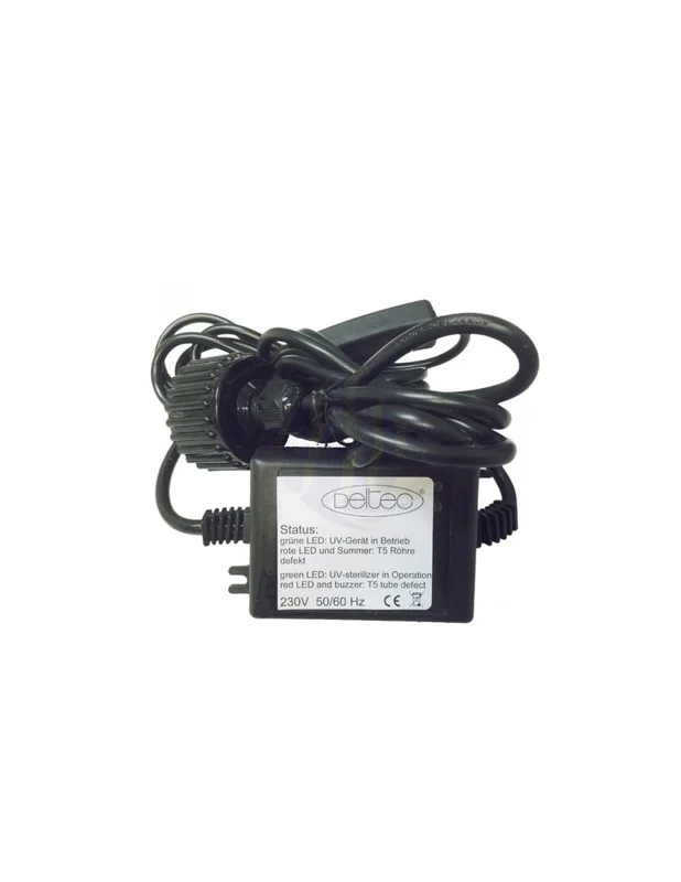 bellacoral844094