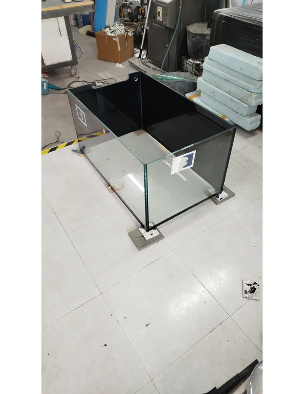 bellacoral846575