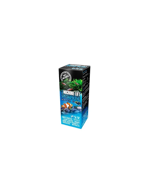 bellacoral847900