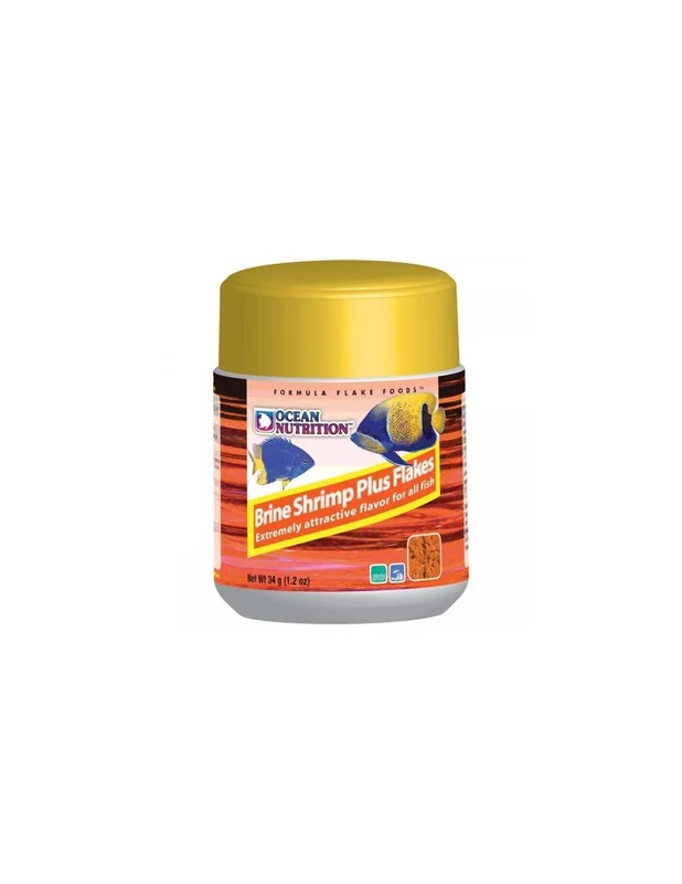 bellacoral849206