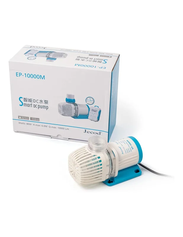 bellacoral849765