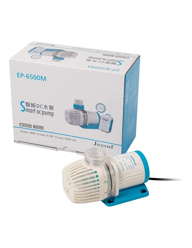 bellacoral849788