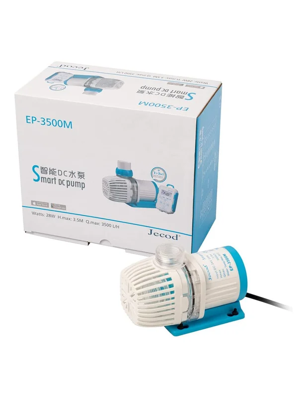 bellacoral849808
