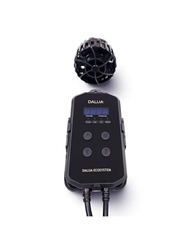 bellacoral850282