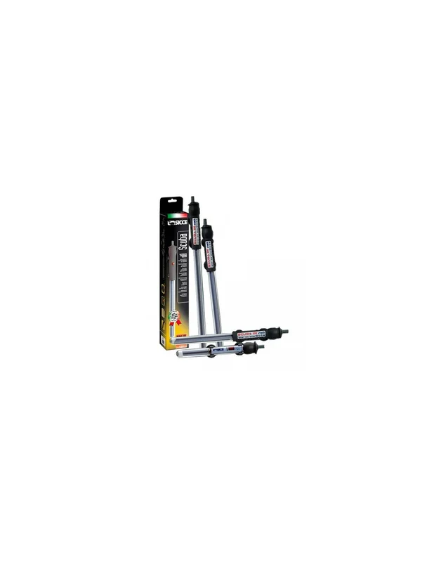 bellacoral850662