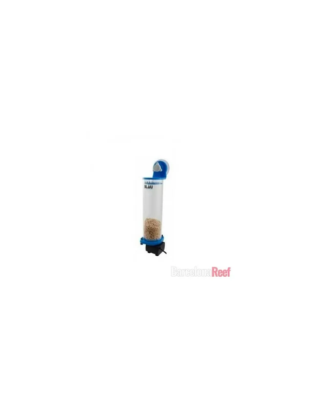 bellacoral853036