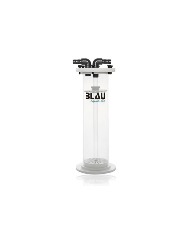 bellacoral853057