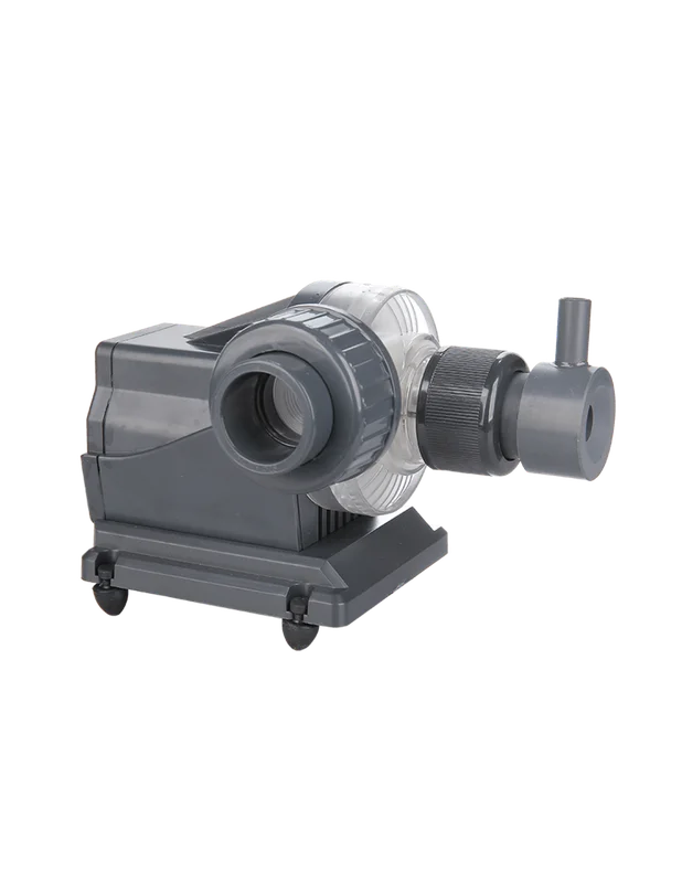 bellacoral853505