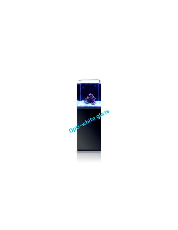 bellacoral860054