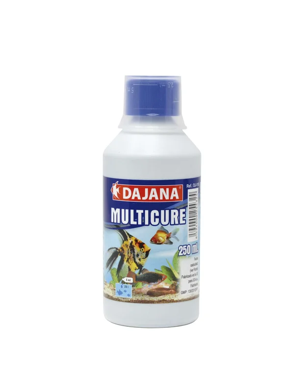 bellacoral864984