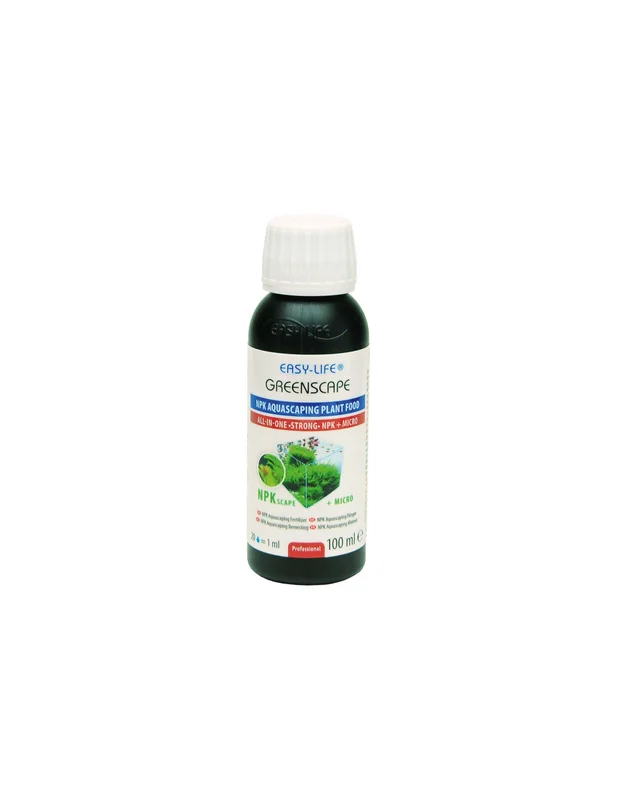 bellacoral865859