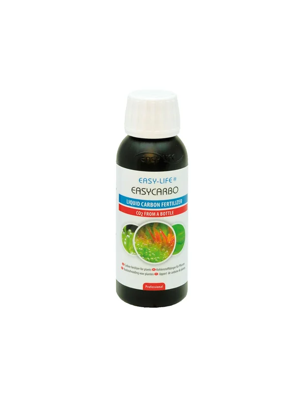 bellacoral865914