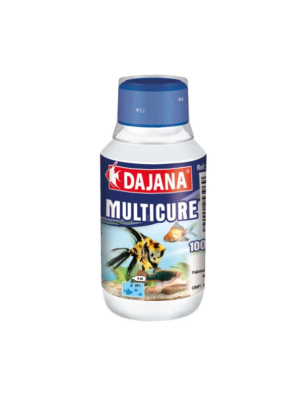 bellacoral866083