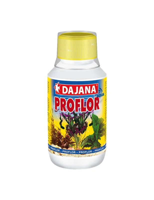 bellacoral866961