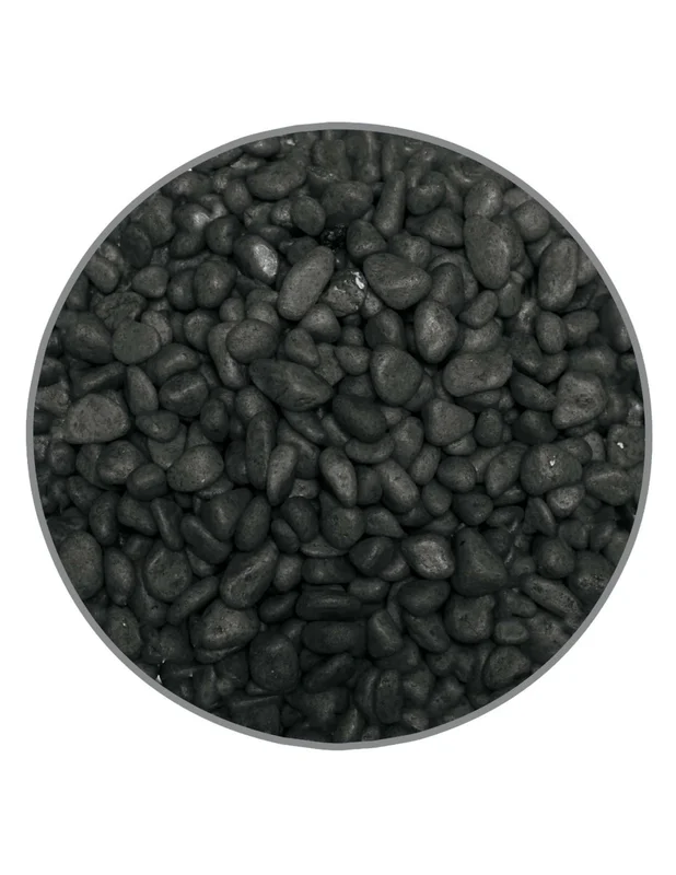 bellacoral867269