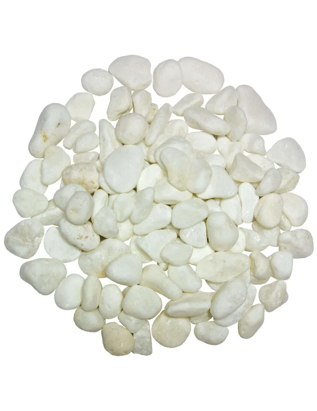 bellacoral867287