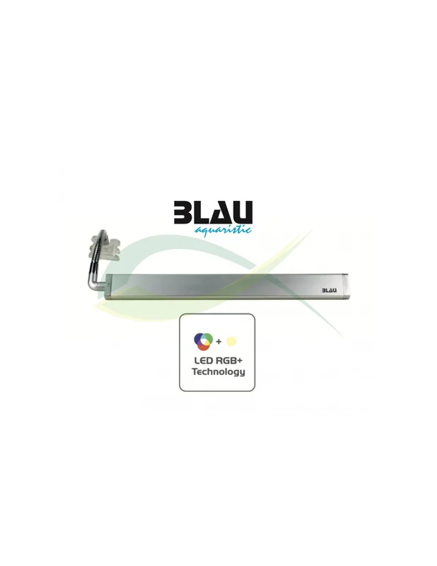 bellacoral867841