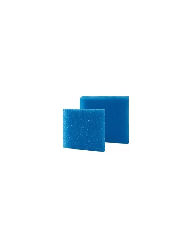 bellacoral869048
