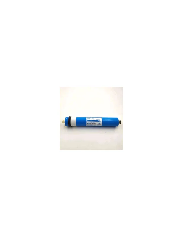 bellacoral869391