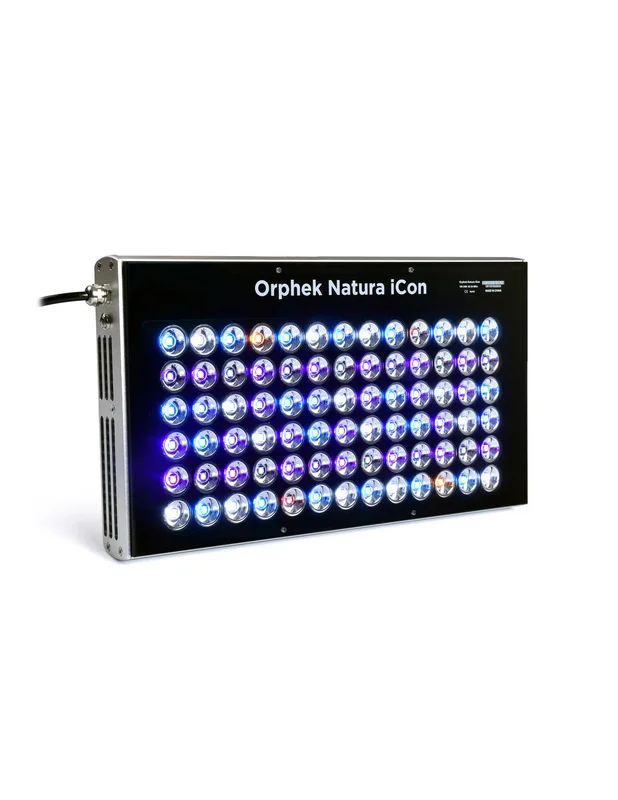 bellacoral870789