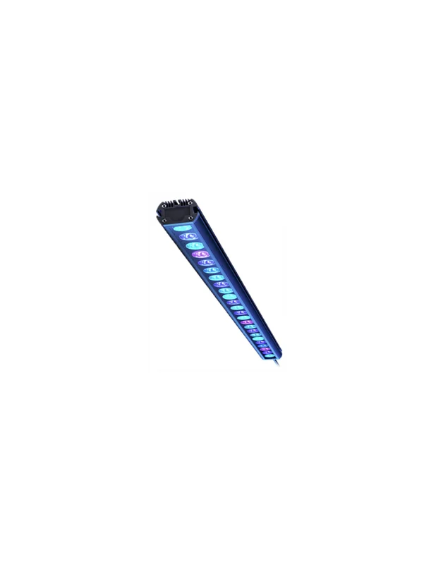 bellacoral871013