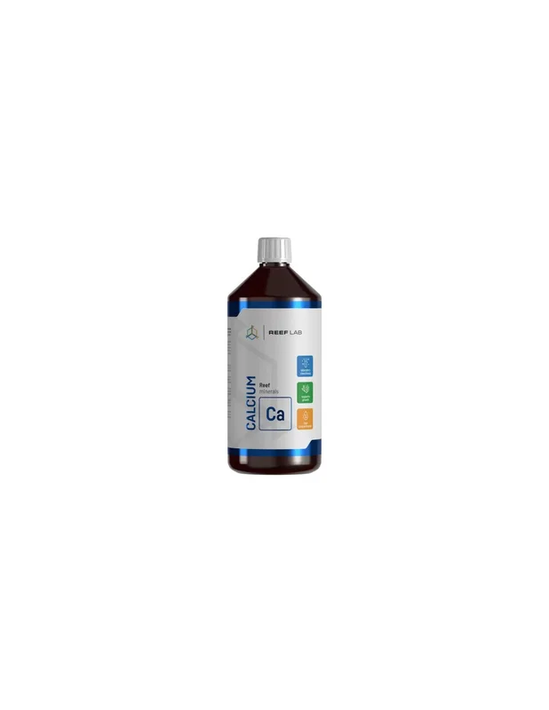 bellacoral871627