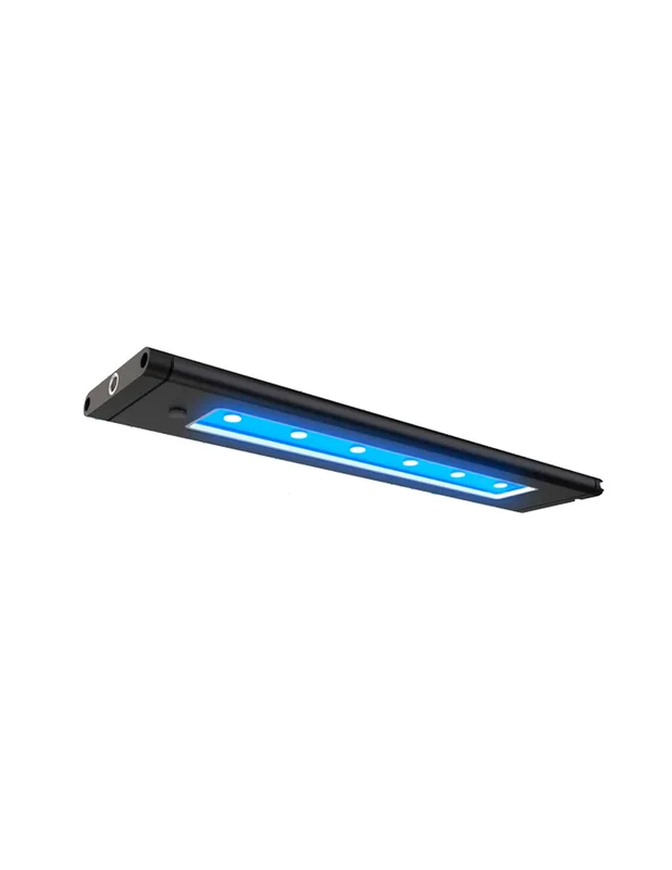 bellacoral872378