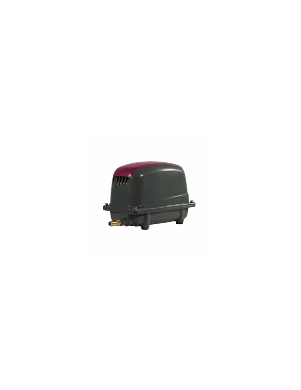 bellacoral872647