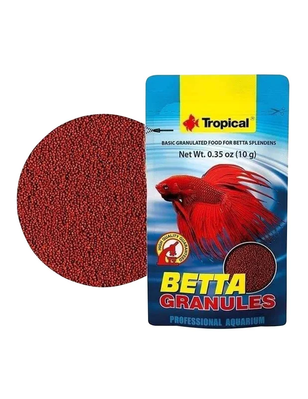 bellacoral873277