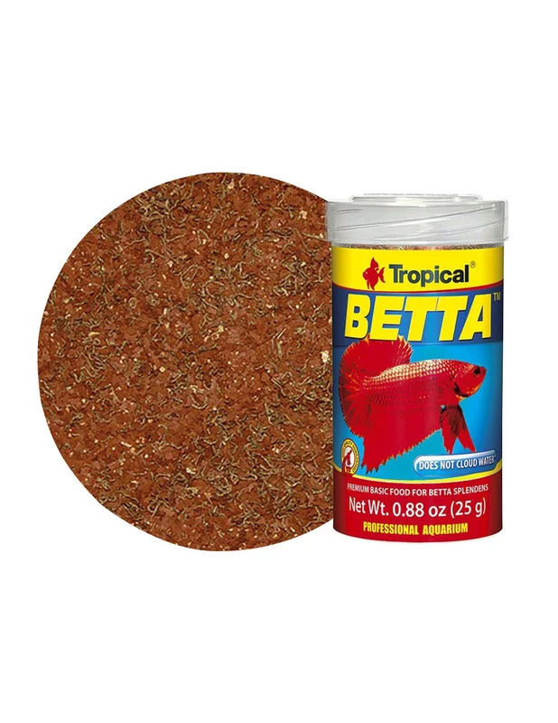 bellacoral873281