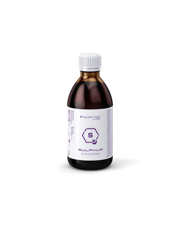 bellacoral874967