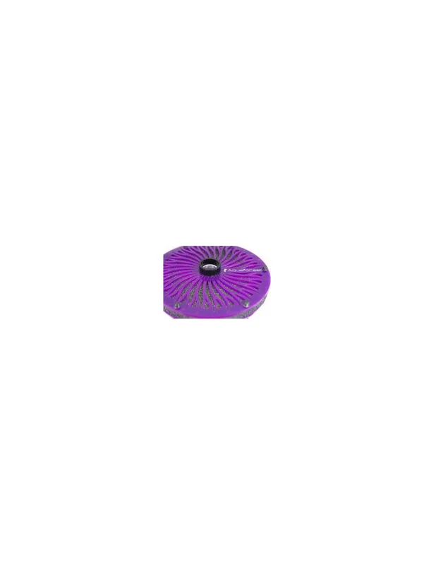 bellacoral875099