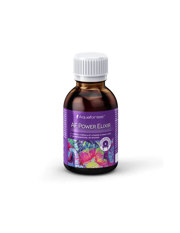 bellacoral875475