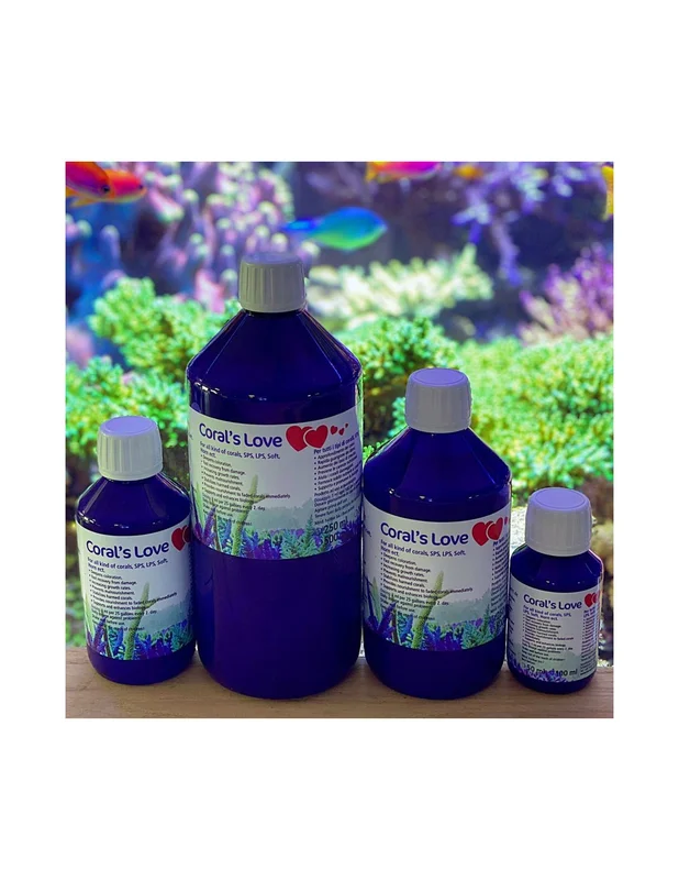 bellacoral876461