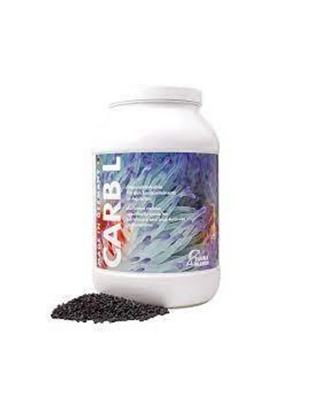 bellacoral877376