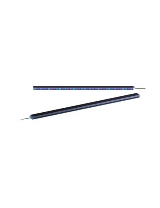 bellacoral877570