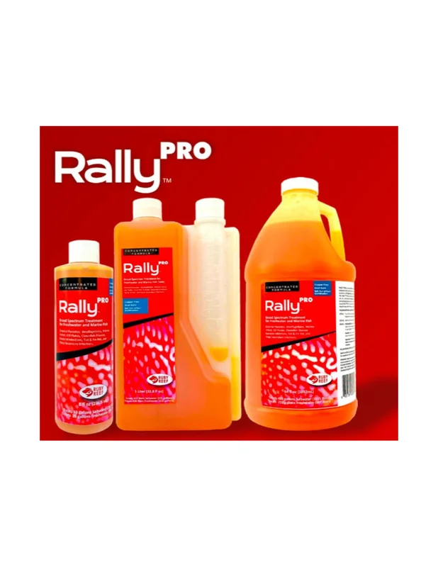 bellacoral878023