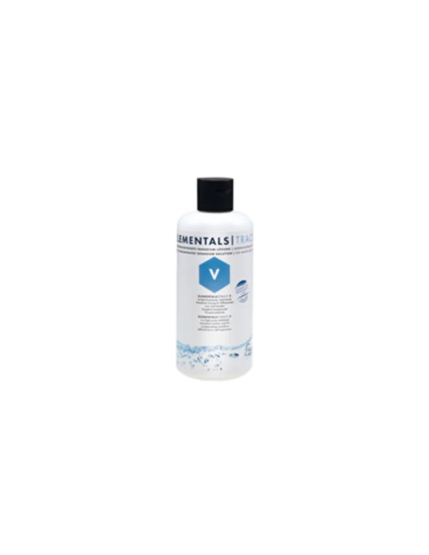 bellacoral878777