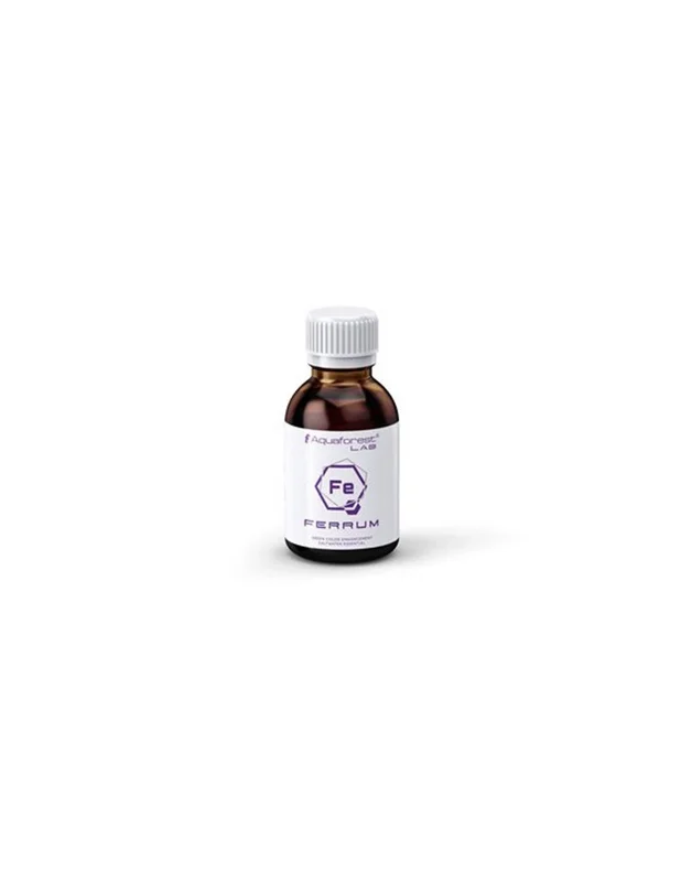 bellacoral879204