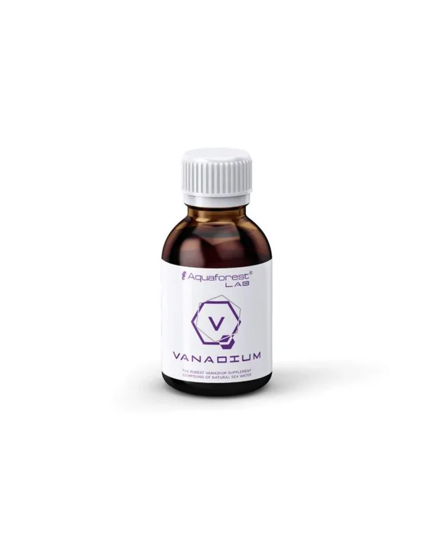 bellacoral879240