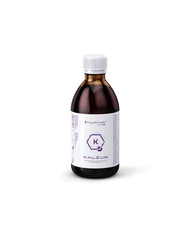 bellacoral879271