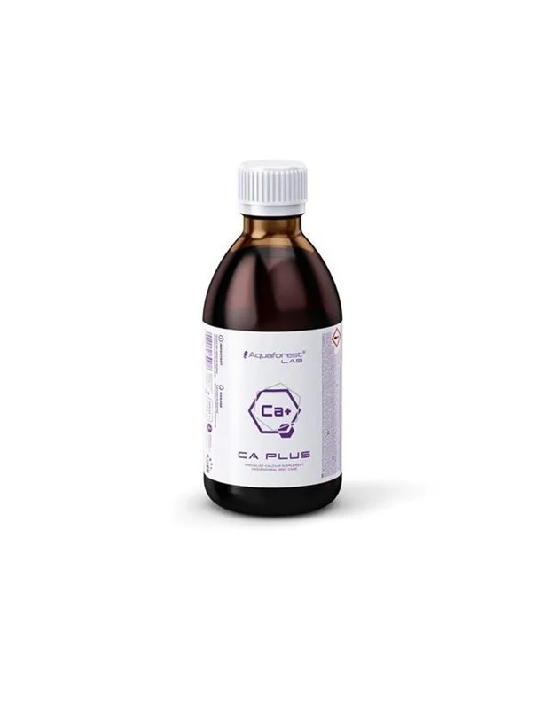 bellacoral879298