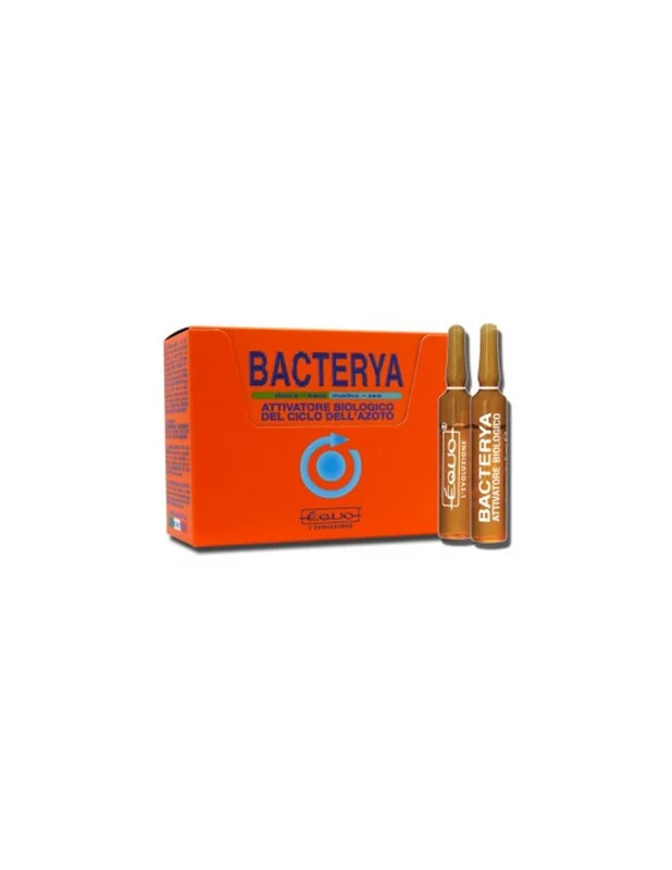 bellacoral879690