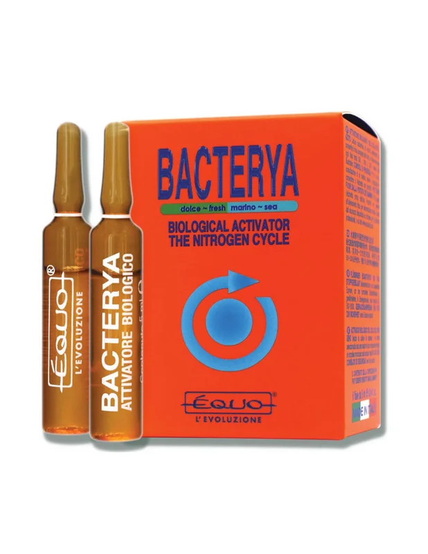 bellacoral879704