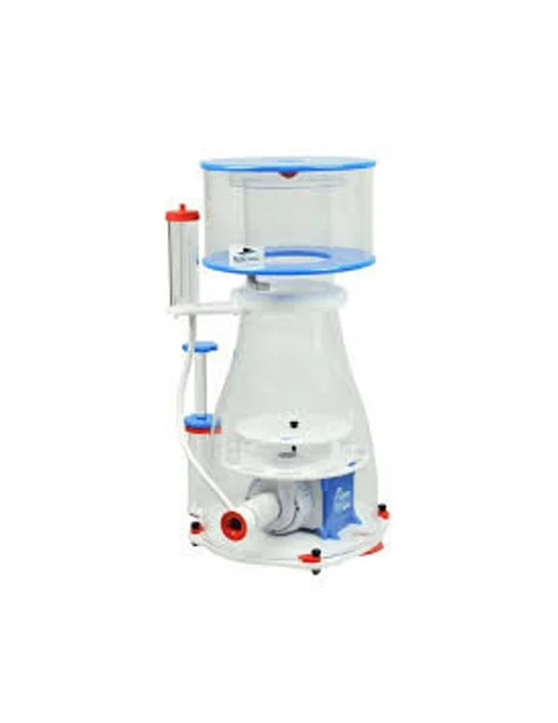 bellacoral880000