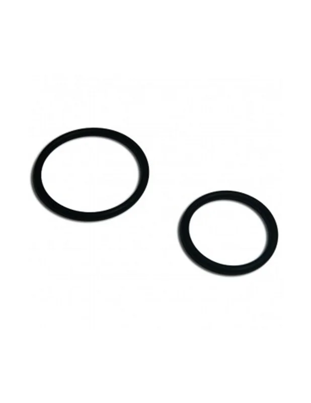 bellacoral880113